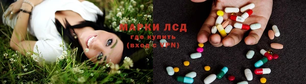 эйфоретик Баксан