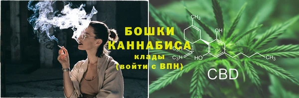 прущие грибы Балабаново