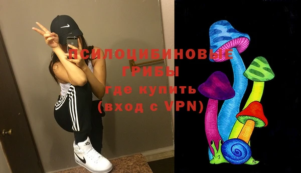 прущие грибы Балабаново