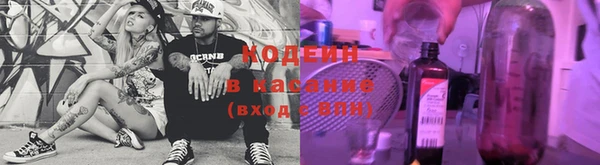 эйфоретик Баксан
