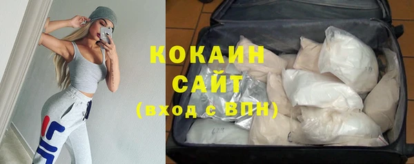 прущие грибы Балабаново