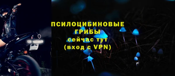 прущие грибы Балабаново