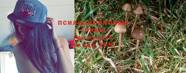 эйфоретик Баксан