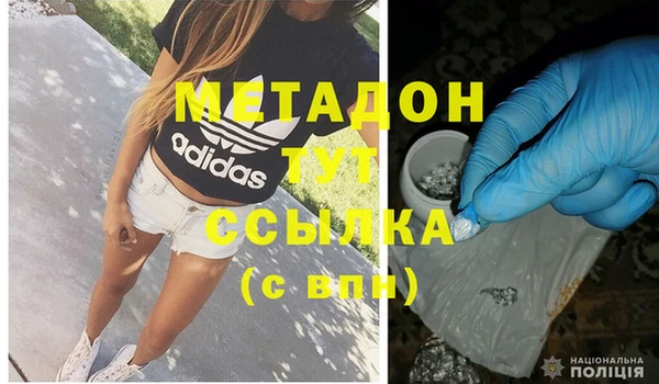 прущие грибы Балабаново