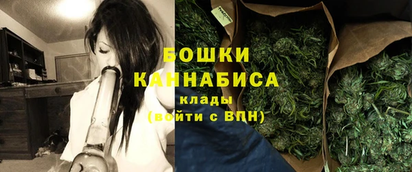прущие грибы Балабаново