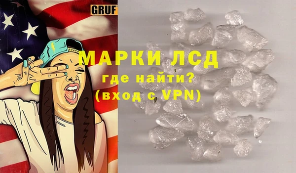 прущие грибы Балабаново