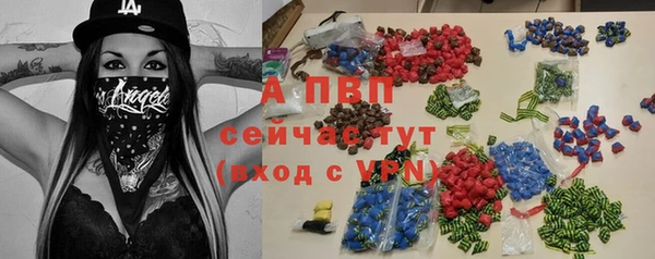 прущие грибы Балабаново