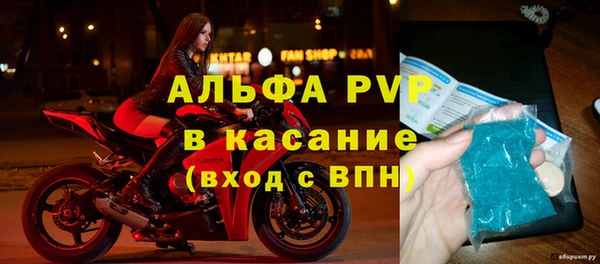 эйфоретик Баксан