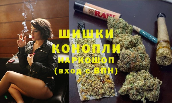 эйфоретик Баксан