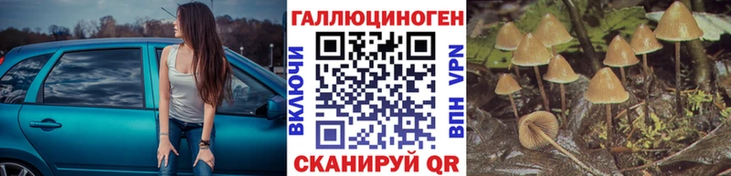 цены наркотик  Зубцов  Псилоцибиновые грибы ЛСД 